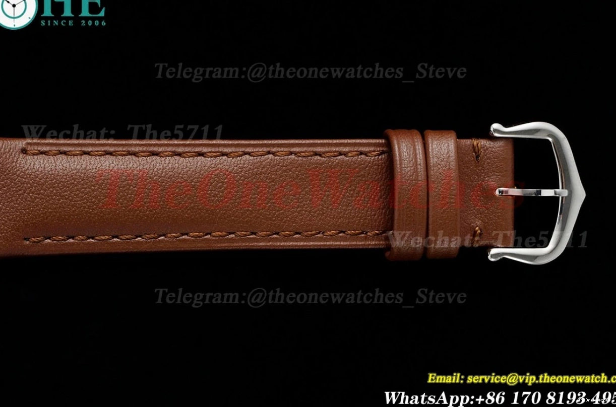 Dumont Dial Brown Silver Santos SS AF LE Quartz 0402